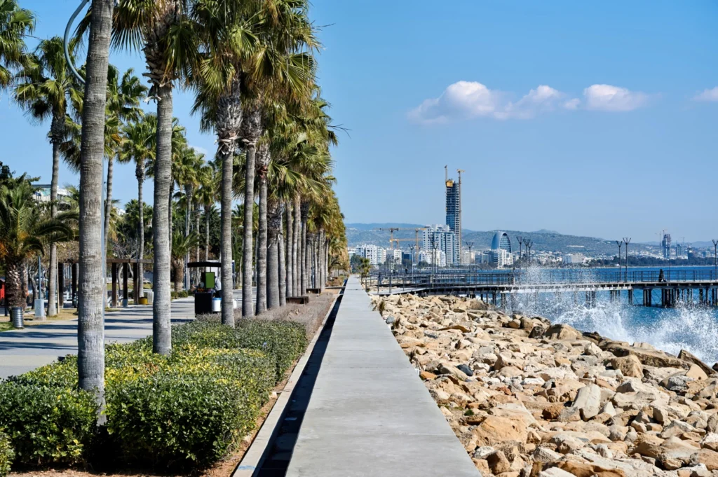 Home Care in Santa Monica